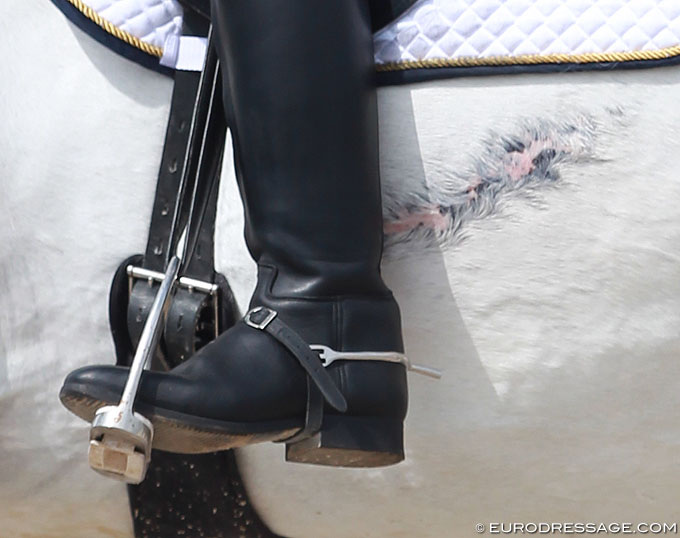 Functionality in Equitation: Skin Damage from Leg Aids