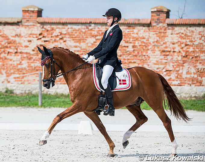 2019 European Pony Champion Adriano B, New Ride For Sophia Obel