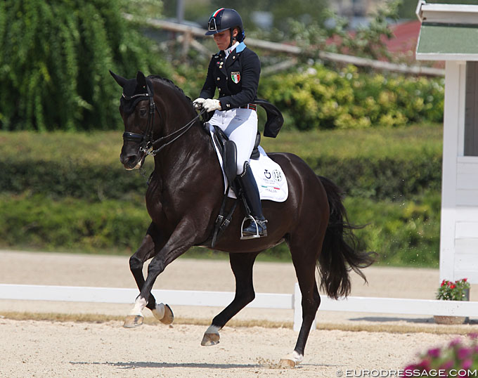 Beatrice Arturi s Junior Riders Horse Donaudistel Passed Away