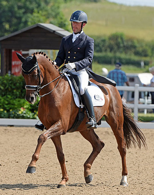 FEI Dressage Horse for Sale: SJL Dom Perignon