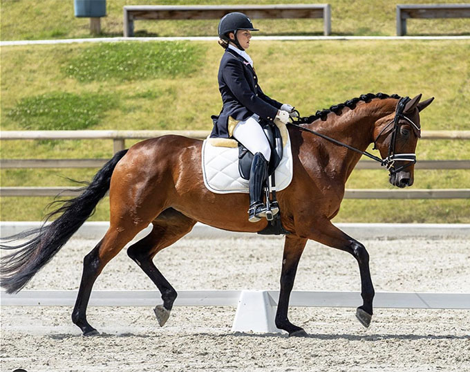 Norwegian Horses Selected for 2020 World Young Horse Championships