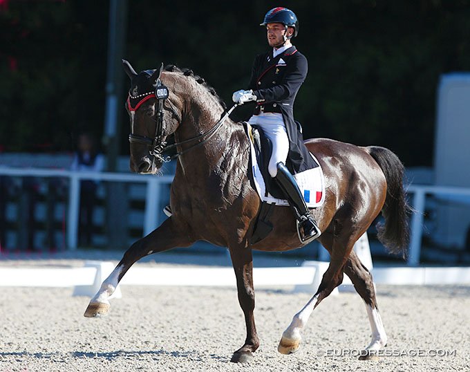 Cedric Gallinard Retires Under 25 Grand Prix Horse Scherzo ZC - Vimarsana News
