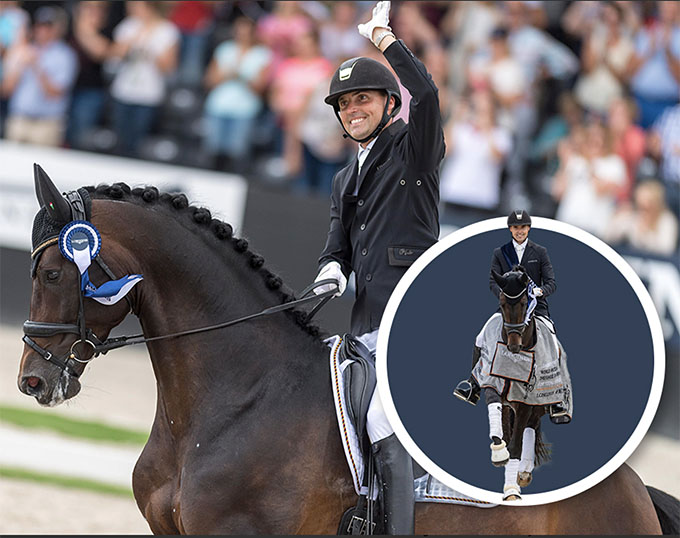 Embryo by Revolution out of Jovian's Dam, Top Seller of 2021 Global Dressage Auction