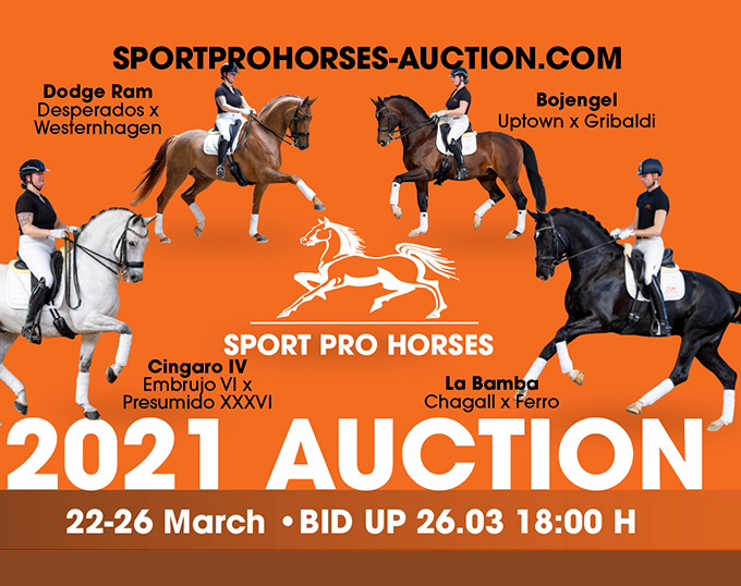 2021 Sport Pro Horses Spring Online Auction: From Gifted Youngsters to ...