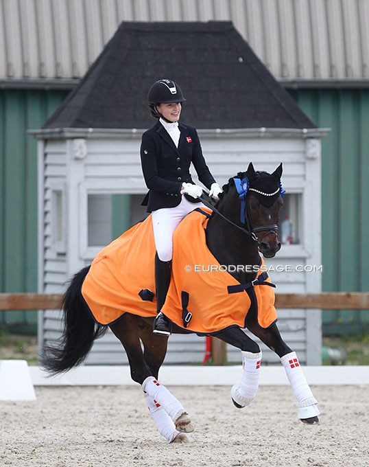 Danish Team Selected for 2021 European Pony Championships