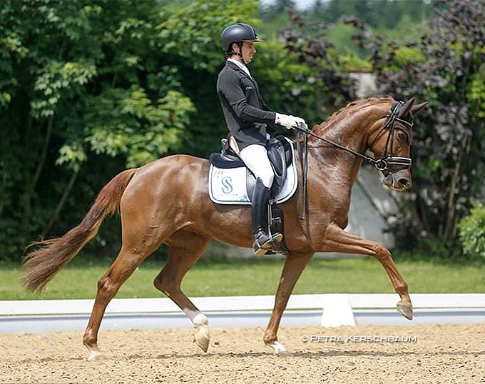 Italian Horses Selected for 2021 World Young Horse Championships