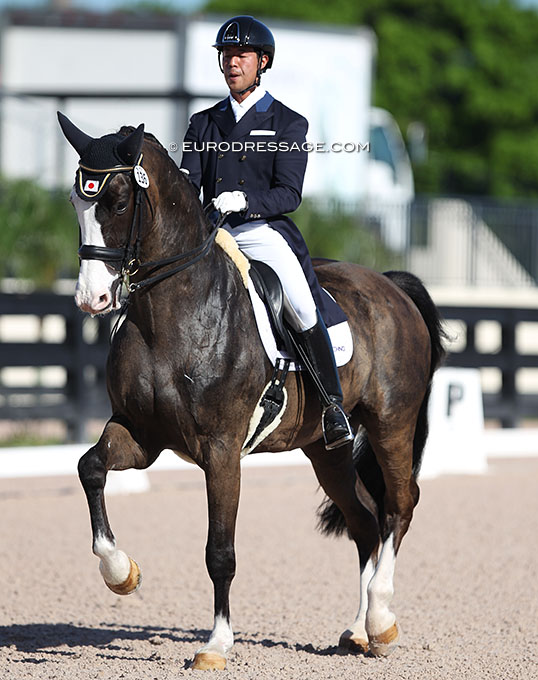 Callie O'Connell Welcomes Grand Prix horse Eaton H