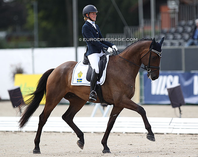 Swedish Horses Selected for 2022 World Young Horse Championships