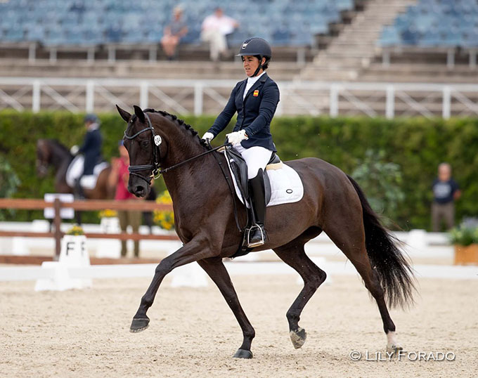 Spanish Horses Selected For 2022 World Young Horse Championships