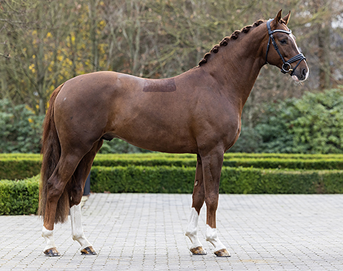 Fifty-Fifty, Freigeist, Ibiza Dream, Va Pensiero Win 2023
