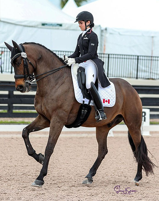 Canadian Dressage Teams Announced for 2023 CDIO Wellington Nations Cup
