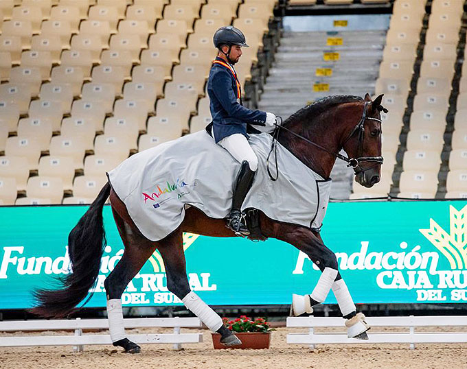 Olvido CAD, Rociero FS, and Oliva CAD Win the ANCCE Cup Young Horse Finals  at 2023 SICAB