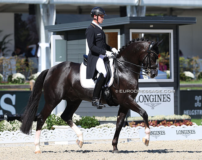 German Dressage Squads for 2024 Announced