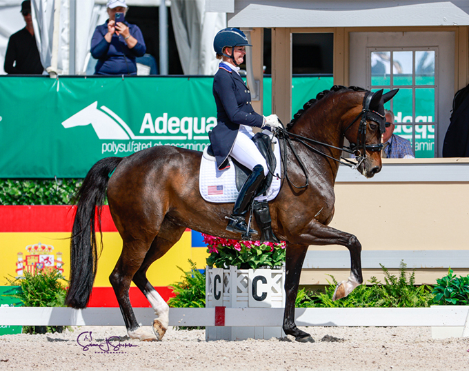 Bateson and Lyle Win GP Special 4* and 3* on Final Weekend of 2024