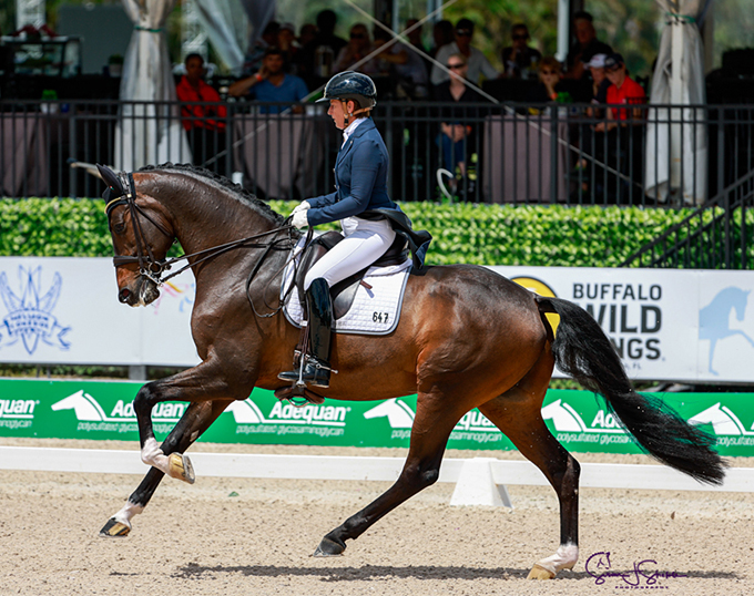 Kane and Komsi Komsa Win Developing PSG/GP Horse finals at 2024 Global