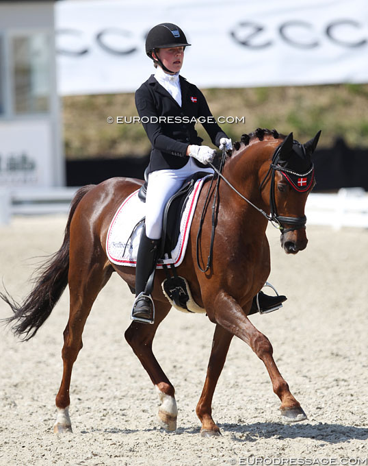 Danish FEI pony Campari W withdrawn from the sport