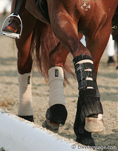 Boots and Bandages - Are we harming our horses as we try to protect them?