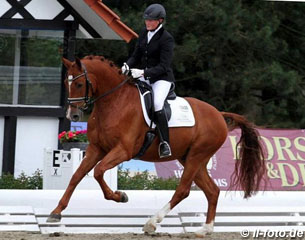 Fairy Tale, Ellen Linden Urnes' Swedish Triple Youth Team Horse, Sold