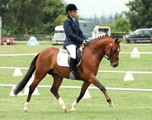 Riders Selected for 2012 New Zealand Section of FEI World Dressage ...