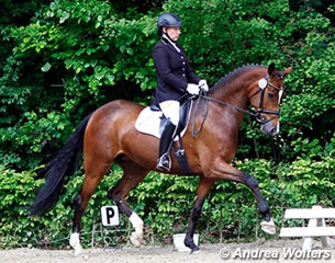 Cassiopaya Quanticus and Lord Carnaby Win 2013 Kaarst