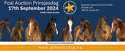 Prinsjesdag auction