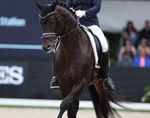 Sir Olli at the 2016 World Young Horse Championships :: Photo © Astrid Appels