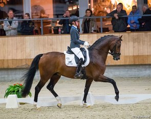 Renate van Vliet and In Style at the 2017 KWPN Stallion Competition in Ermelo :: Photo © Digishotsh