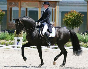 Antonia Ramel and Insterburg at the 2010 CDIO Aachen :: Photo © Astrid Appels