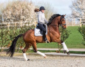 Dufour on Rosendal's Zundance in April 2017 :: Photo © JH Dressage