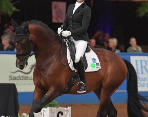 Gina Montgomery and Iresias L at the 2018 Australian Young Horse Championships :: Photo © Derek O'Leary