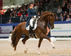 Madeleine Witte-Vrees and Charmeur in 2016 :: Photo © Dirk Caremans