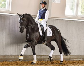 | Eurodressage