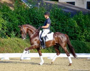 Wolfgang Himsl and Valparaiso at the 2018 Austrian WCYH Selection Trial :: Photo © Petra Kerschbaum
