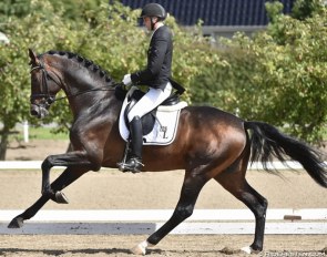 Andreas Helgstrand and the auction record price horse Revolution :: Photo © Ridehesten