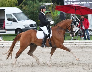 Ralf Kornprobst and Quietschbunt at the 2018 CDN Nordlingen :: Photo private