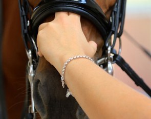 The two finger rule, according to the German guidelines, for how nosebands should be checked for tightness :: Photo © Silke Rottermann