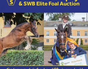 2018 Breeders Trophy and Swedish Warmblood Elite Foal Auction