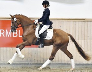 Silje Bakken and Grevens Fakina :: Photo © Ridehesten