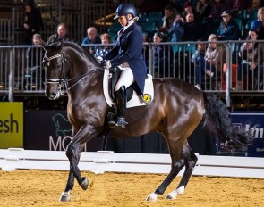 Sue Hearn and Remmington at the 2018 CDI-W Melbourne