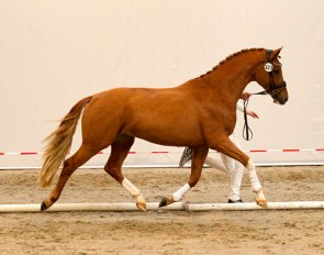 Le Charmeur (by Charmeur x Idocus)