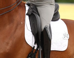 Dressage horse ridden with a heart rate monitor :: Photo © Astrid Appels