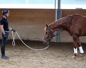 Warwick McLean training a young horse :: Photo © Astrid Appels
