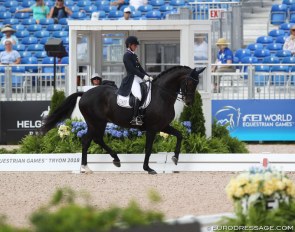 Harmony between rider and horse :: Photo © Astrid Appels