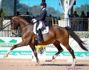 Laura Graves and Verdades at the 2019 CDI-W Wellington :: Photo © Sue Stickle
