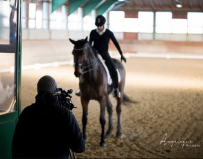 2019 Piaff Forderpreis selection trial in Warendorf :: Photo © Angelique Photography/FN
