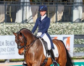 Rebecca Waite and Doktor at their CDI show debut at the 2019 CDI-W Wellington :: Photo © Sue Stickle