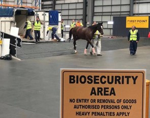 Arrival at First point Animal Services the award-winning animal transfer facility at Melbourne airport that is operated by IRT. Upon arrival, horses are then transported to the Mickleham Quarantine facility where they stay for a minimum of 2 weeks.