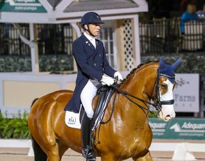 Christoph Koschel and Action Ace in the 2019 Palm Beach Dressage Derby :: Photo © Sue Stickle