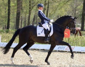 Jessica Lynn Andersson and Secret at the regional show in Dotlingen - April 2019 :: Photo © LL-Foto