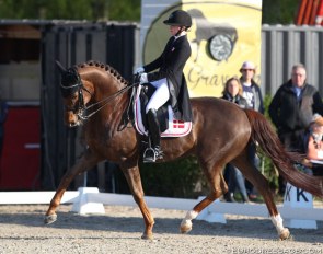 Sara Aagaard Hyrm and Skovborgs Romadinov at the 2019 CDI Sint-Truiden :: Photo © Astrid Appels